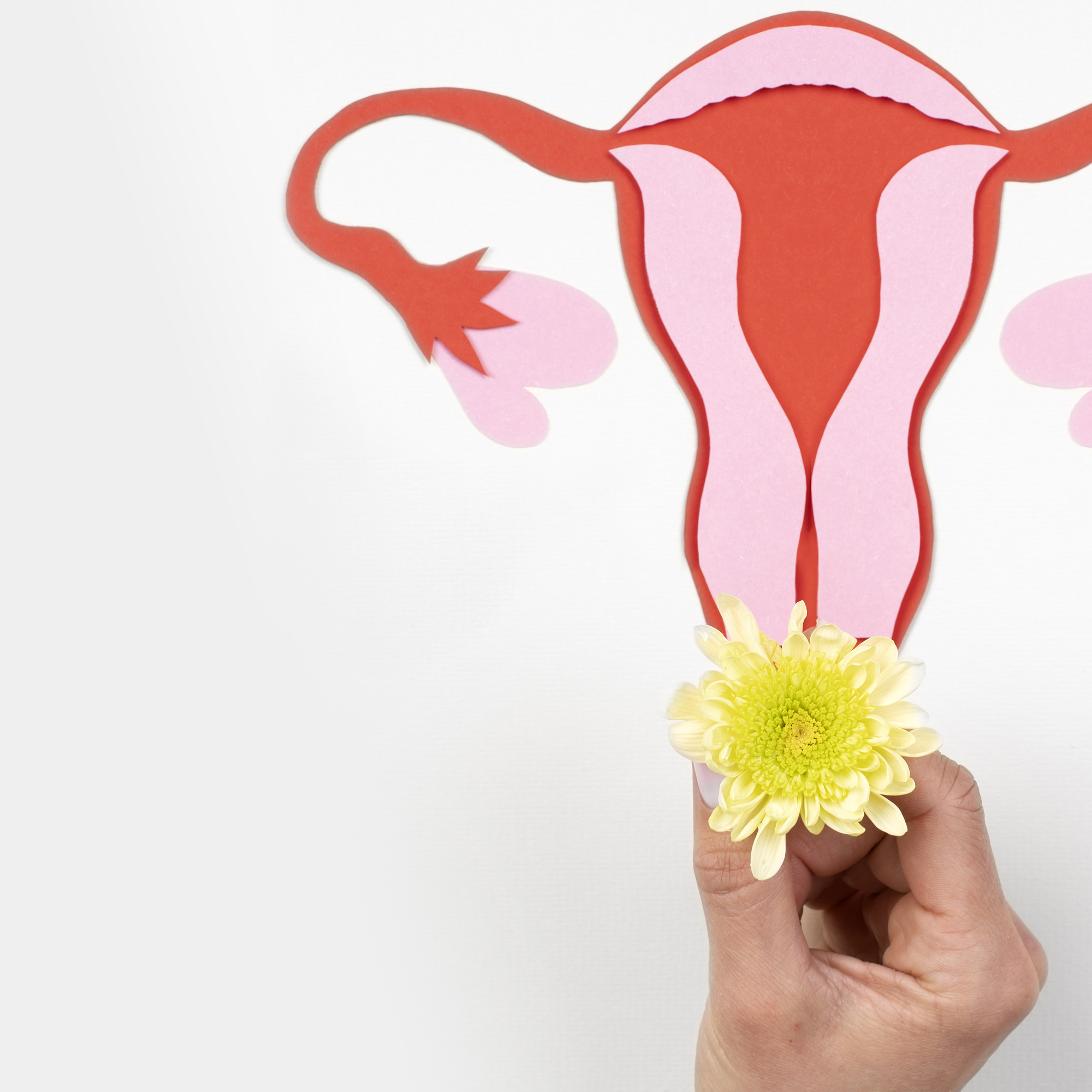 Como aumentar as chances de sucesso no tratamento da endometriose